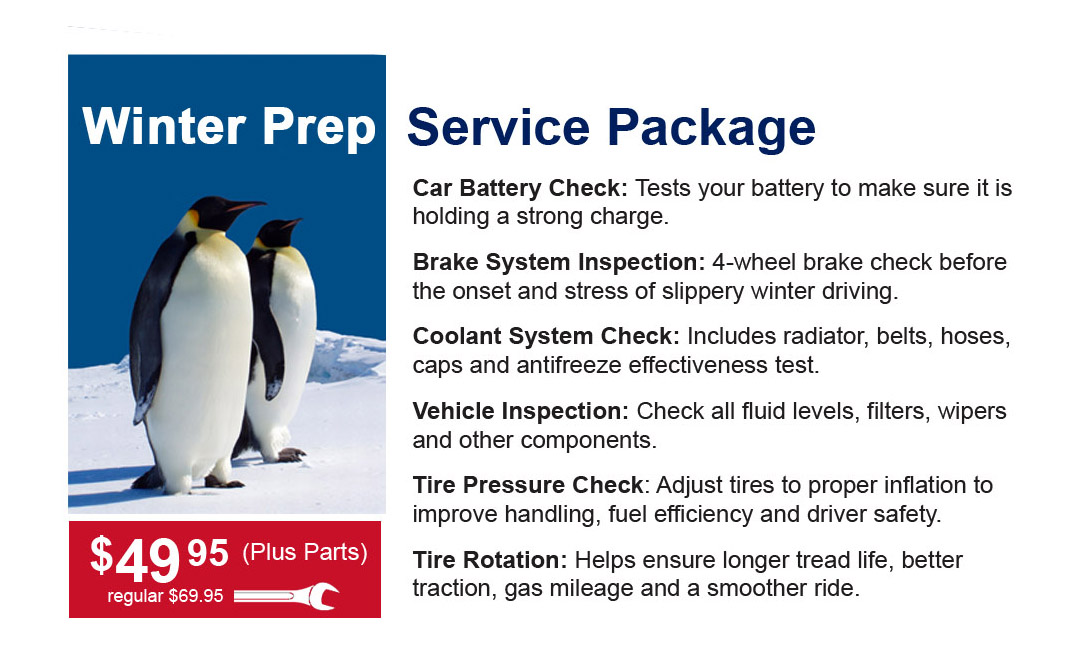 Winter Prep Service Package - $49.95 plus parts